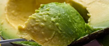 Studies Show An Avocado A Day Can Keep Your Bad Cholesterol Lower