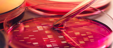 10 Scientific Discoveries Everyone Who Wants to Be Healthy Needs to Know