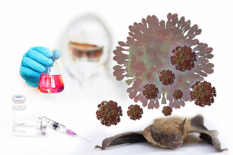 What Kills Bacteria and Viruses—And What Doesn’t Factspedia