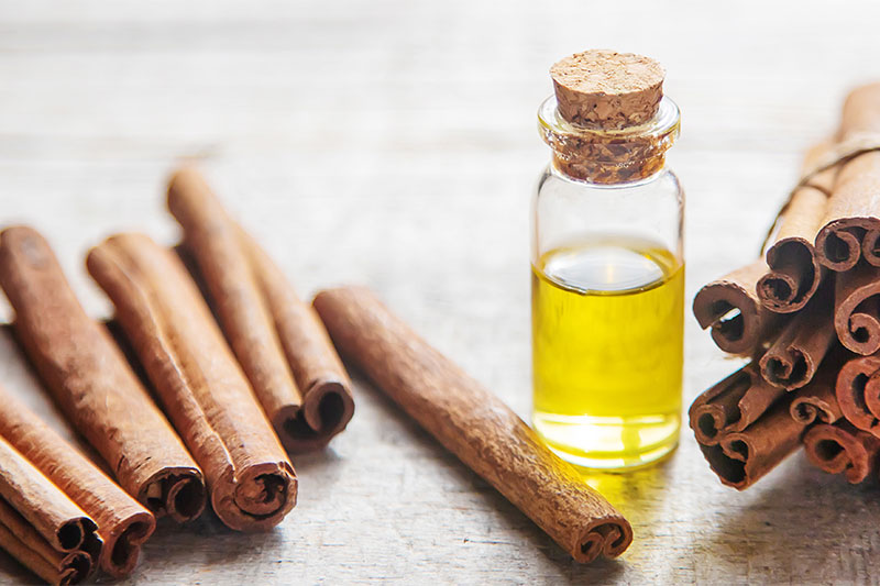 Cinnamon Oil