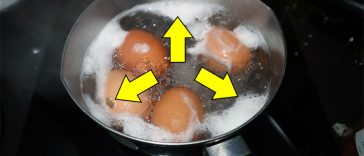 The biggest ERRORS that everyone makes when it comes to cooking eggs