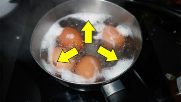 The biggest ERRORS that everyone makes when it comes to cooking eggs