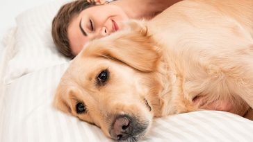 One In Four People Prefer To Share Their Beds With Their Dogs Over Their Partners Study Shows