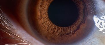 Did You Know That Your Pupils Can Indicate Your Intelligence?