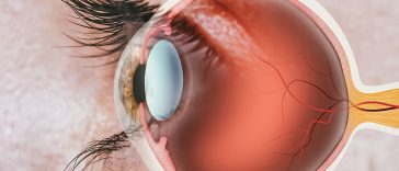 Is There A Link To Eye Health And Dementia?