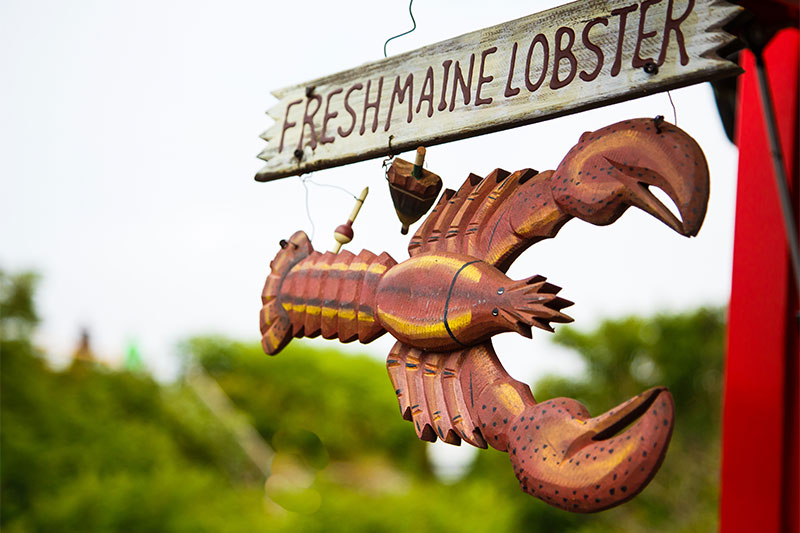 Lobster, Maine