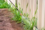 Kill This Grass Right Away If It Is In Your Yard