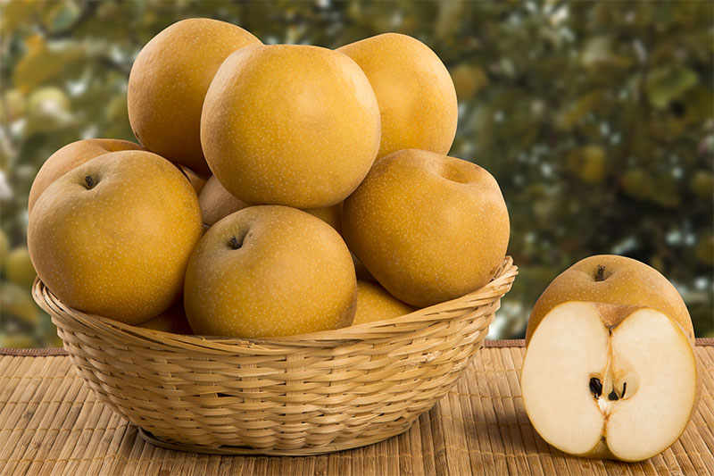 Asian Pear Uncommon Food Crops