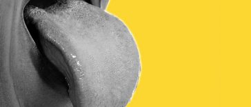 Here Is How The Human Tongue Can Compensate For Blindness