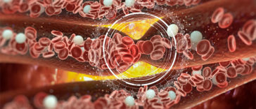 10 Natural Blood Thinners that Prevent Blood Clots