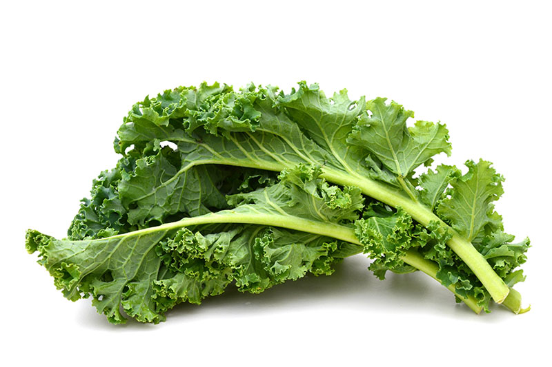 kale leafy vegetable