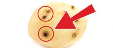 You'll Be Surprised To Know What Brown Spots On Potatoes Really Mean