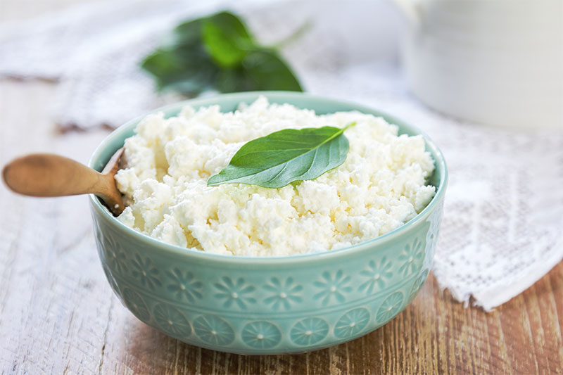 Ricotta Cheese