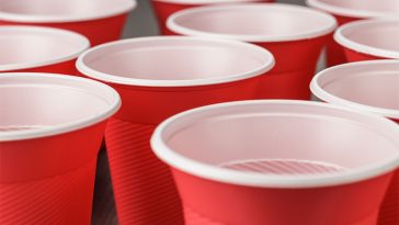 6 Reasons Why People Use Plastic Cups Under Their Toilet Seats