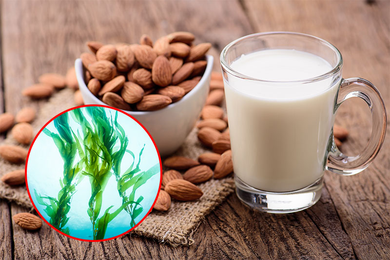 Almond Milk Is Made With Seaweed