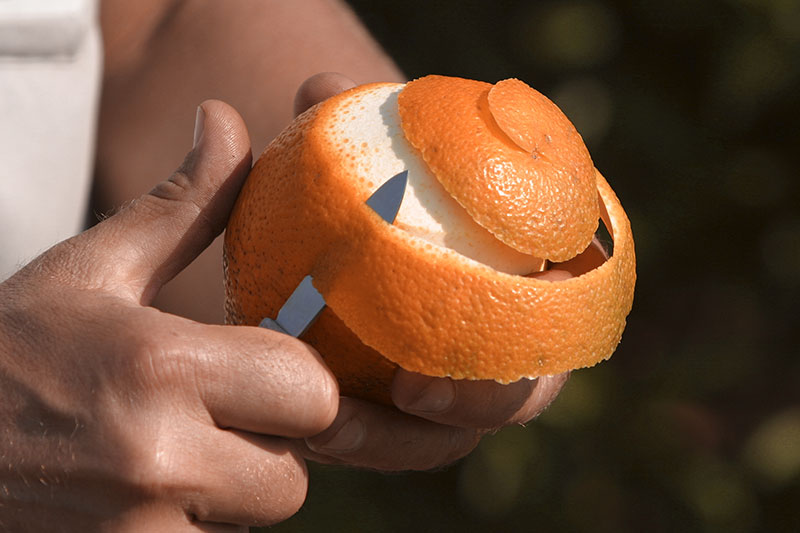9 Unexpected Ways Orange Peels Are Way More Useful Than You Think