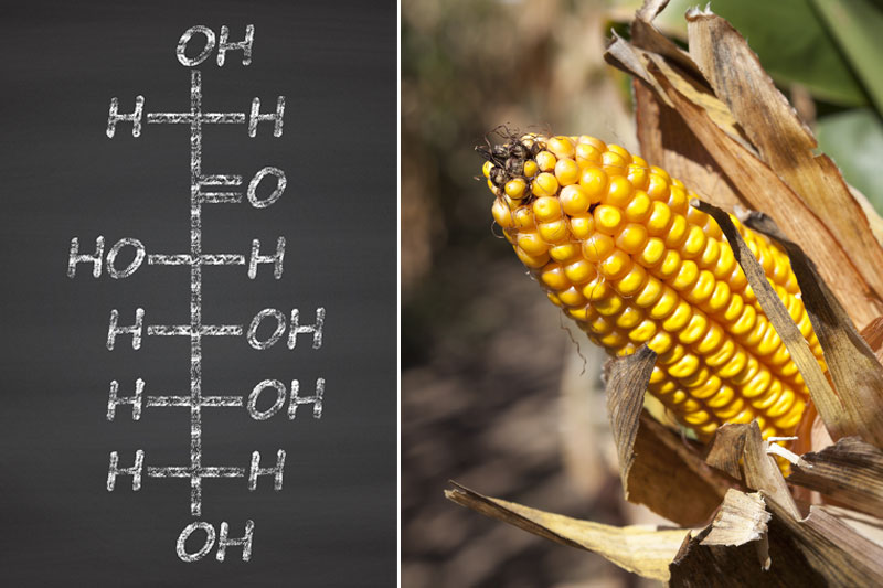 10 Reasons Why High Fructose Corn Syrup is Dangerous for Your Health