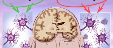 12 Things That Happens To Your Body When You Drink Tea Every Day