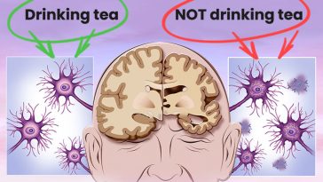 12 Things That Happens To Your Body When You Drink Tea Every Day