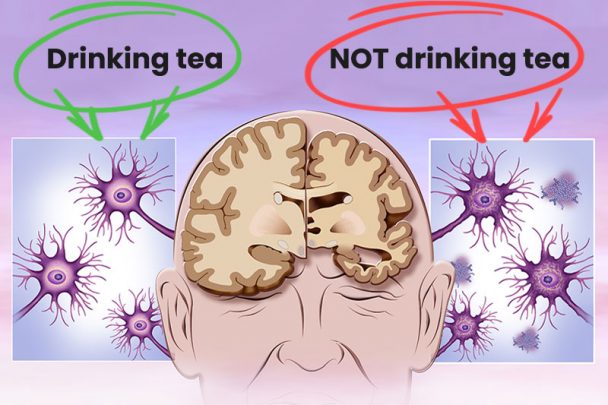 12 Things That Happens To Your Body When You Drink Tea Every Day ...