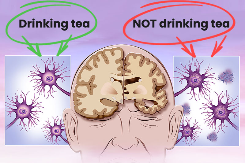 12 Things That Happens To Your Body When You Drink Tea Every Day