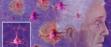 10 Dangerous Brain Damaging Habits To Stop Immediately