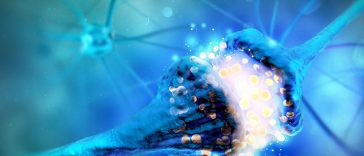 Ketone Supplements Might Increase Brain Function In Obese Patients