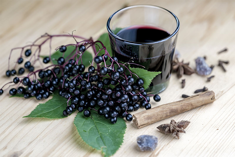 Elderberry syrup