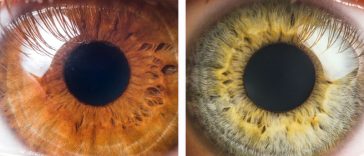 7 Kinds of food that can change the color of your eyes!