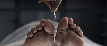 Salt is Killing Us. Here's Everything You Need to Know.