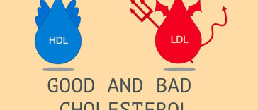 9 Effective Ways to Boost Your Good Cholesterol (HDL)