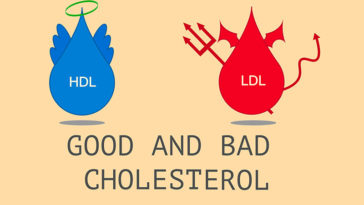 9 Effective Ways to Boost Your Good Cholesterol (HDL)