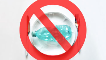 9 Reasons Never to Use Plastic with Food Again