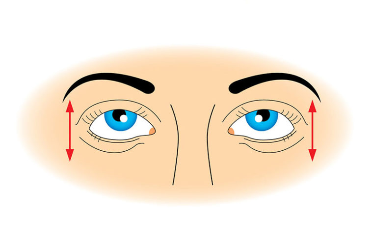 10 Simple and Relaxing Exercises for Your Eyes - Factspedia