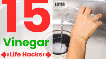 15 Amazing Uses For Vinegar That You'll Want To Know