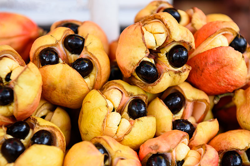 Ackee fruit