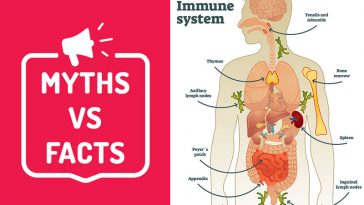 11 Myths About Your Immune System You Need to Stop Believing