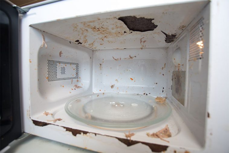 Decoding the Microwave Mystery Why Certain Foods Detonate Factspedia