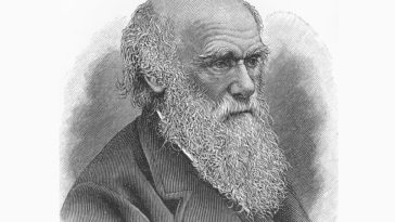 10 Unknown Facts About Charles Darwin And His Life