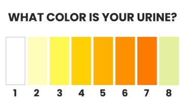 What the Color of Your Urine Reveals About Your Health